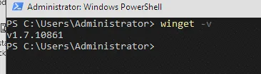 winget -v on Windows Server 2022