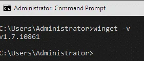 winget -v on Windows Server 2025