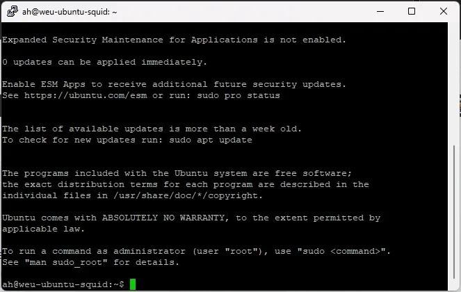 Ubuntu22.04 Install Squid (yours will look slightly different)