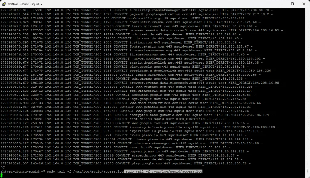 Squid Access Log