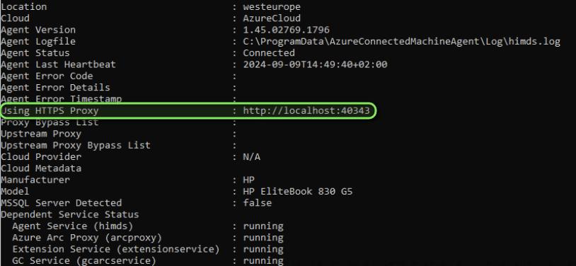 "Using HTTPS Proxy" showing a value of "http://localhost:40343"