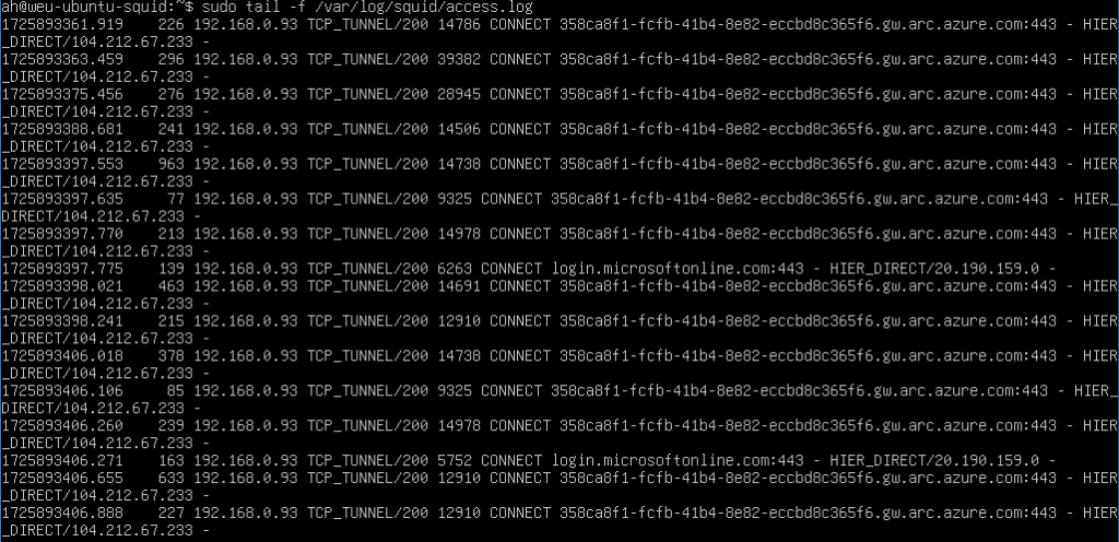 Squid Log using tail while checking Azure Arc Agent connectivity