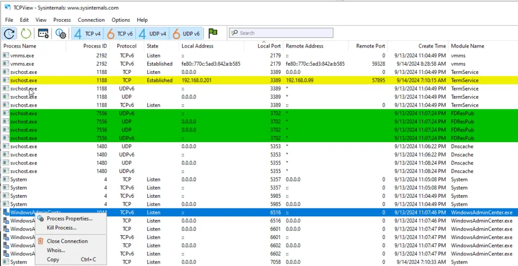 Example tcpview screen showing highlighting and right click option from https://hartiga.de