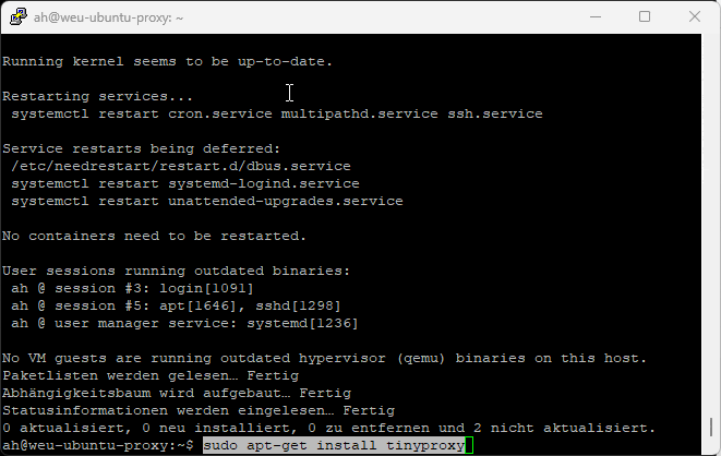 Install TinyProxy on Ubuntu 24.04 (German)