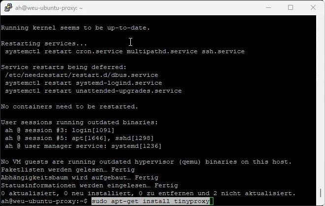 Install TinyProxy on Ubuntu 24.04 (German)